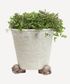 Bunny Tail Pot Stand (3PC)