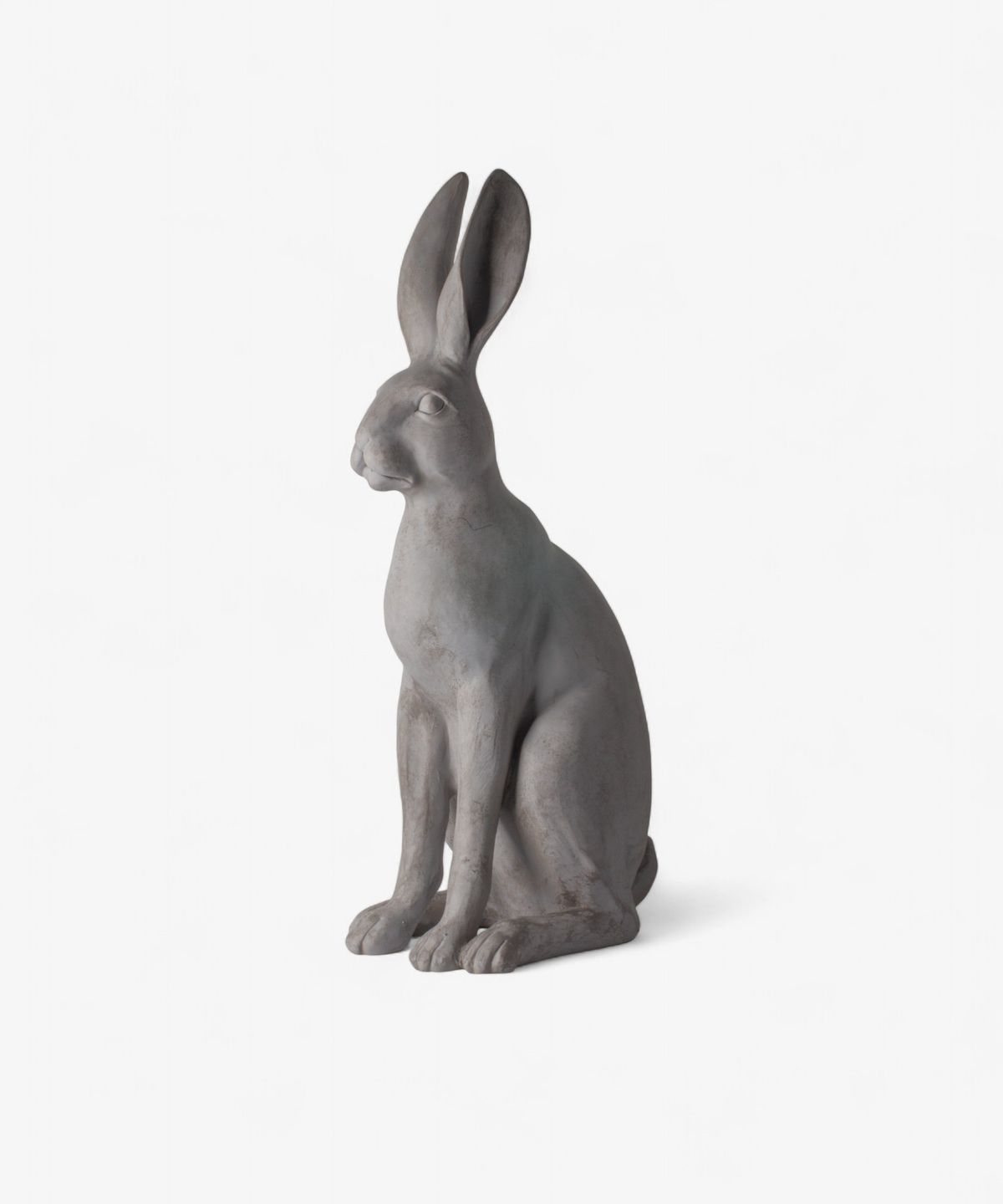 Harold the Hare Grey