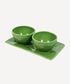 Dragonfly Stoneware Green Condiment Set (3PC)