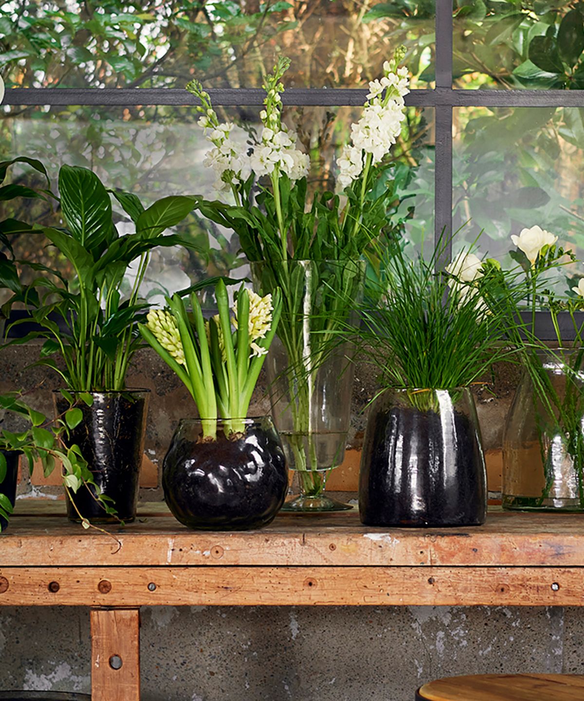 Dappled Clear Urn Vase on Stand