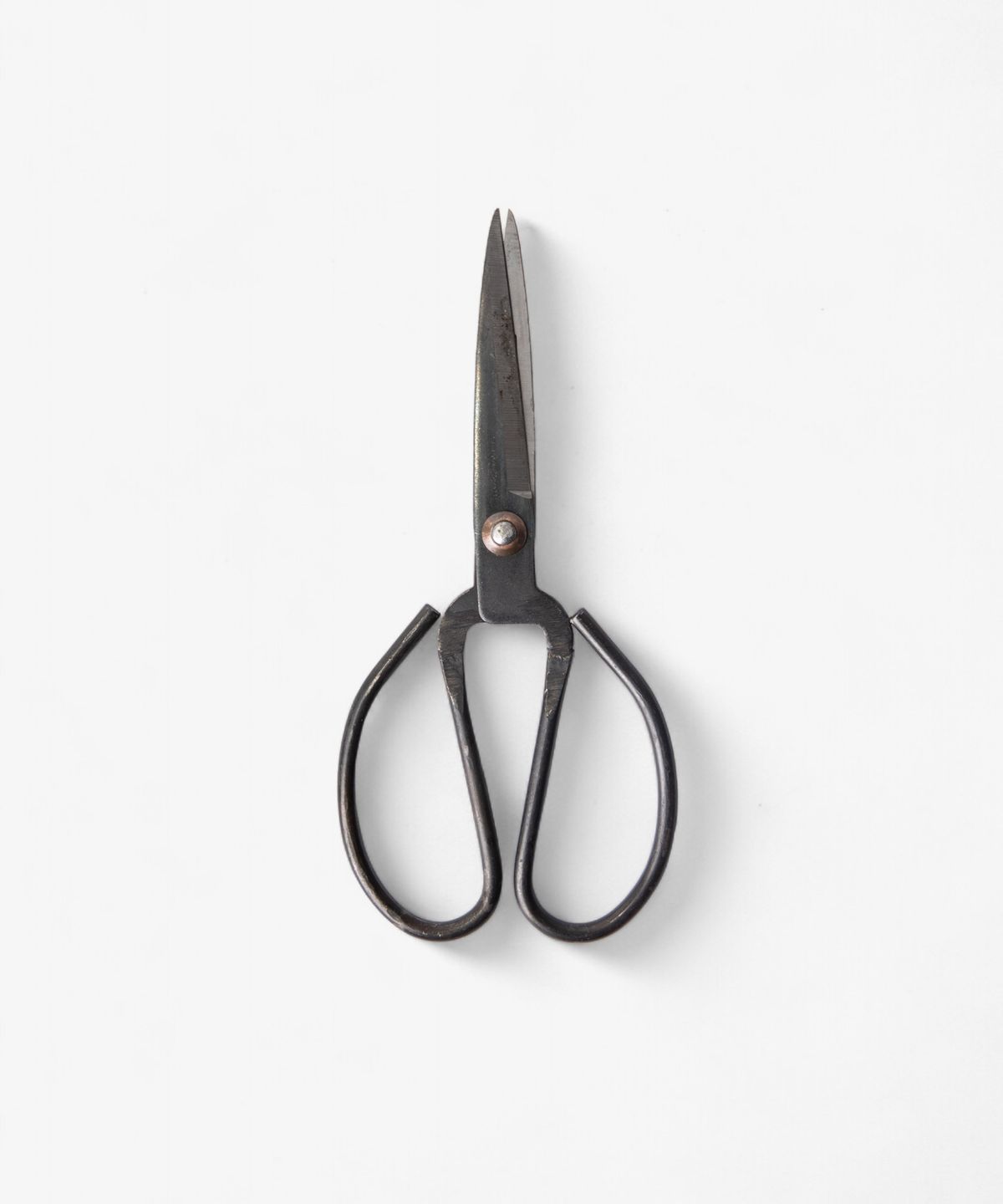 Black Herb Scissors Large