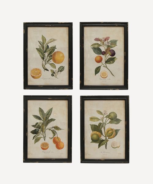 Botanical Wall Art (SET4)