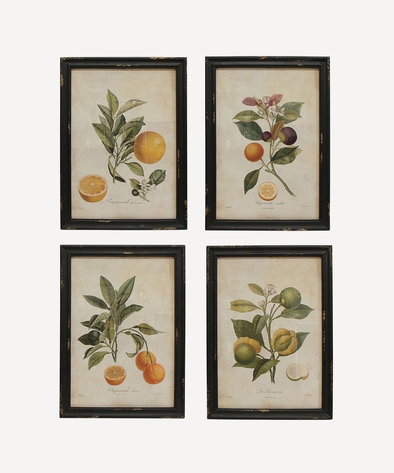 Botanical Wall Art (SET4)