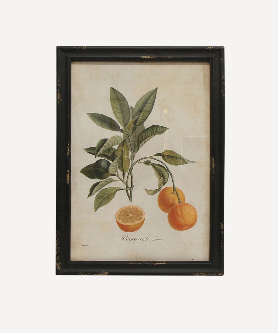 Botanical Orange Wall Art