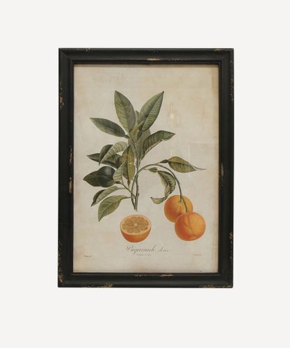 Botanical Orange Wall Art