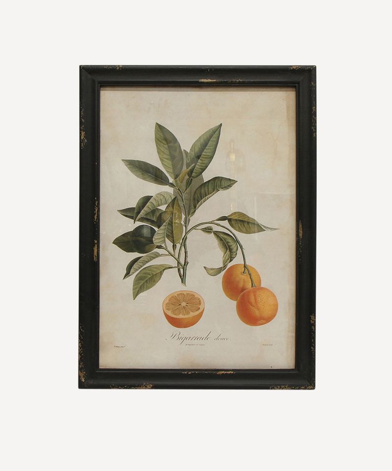 Botanical Orange Wall Art