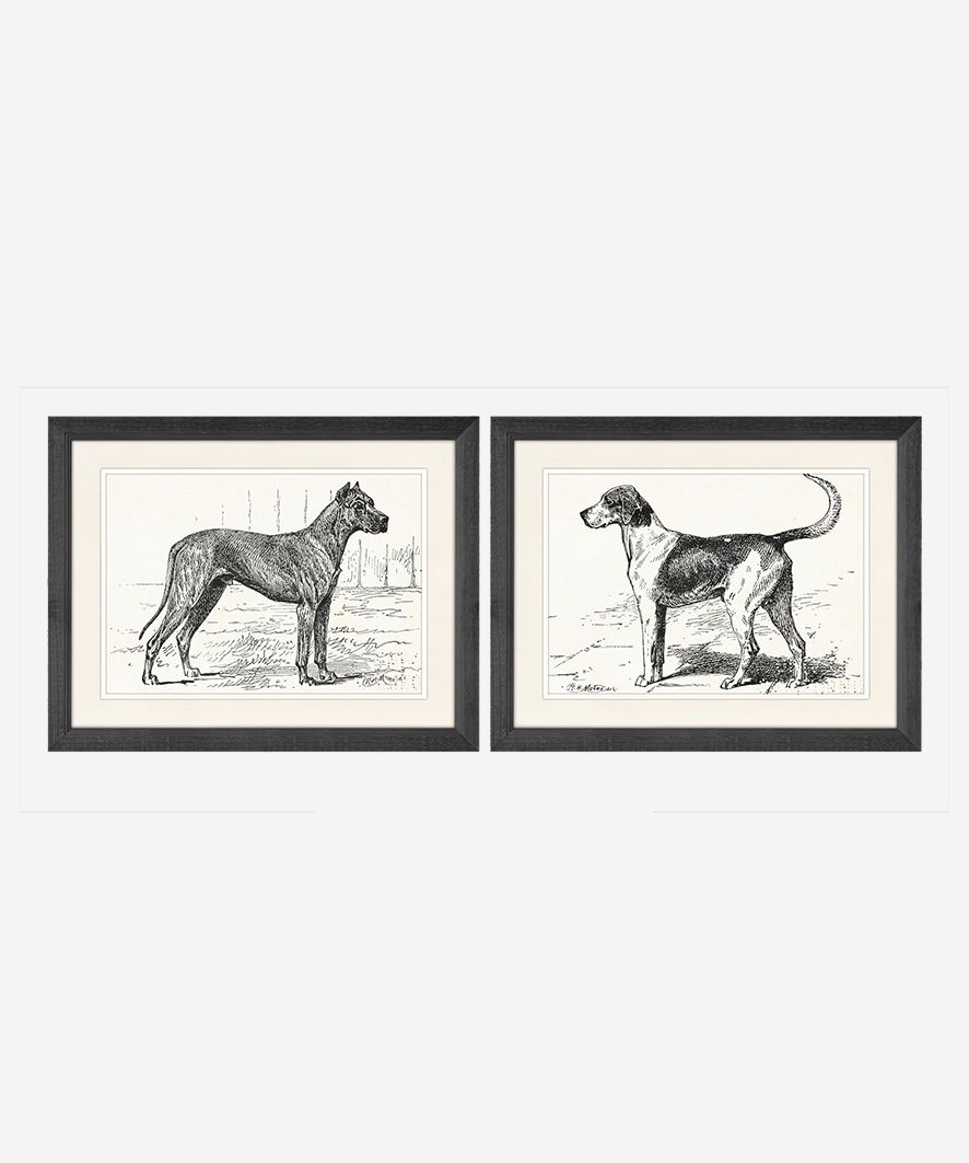 Dog Wall Art (2PC)