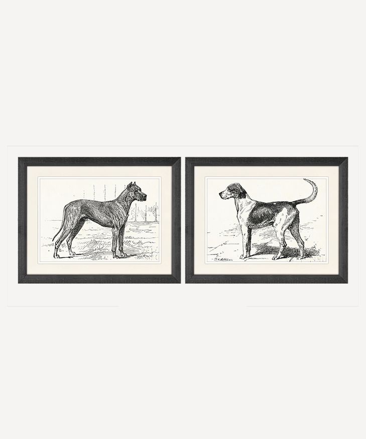 Dog Wall Art (2PC)