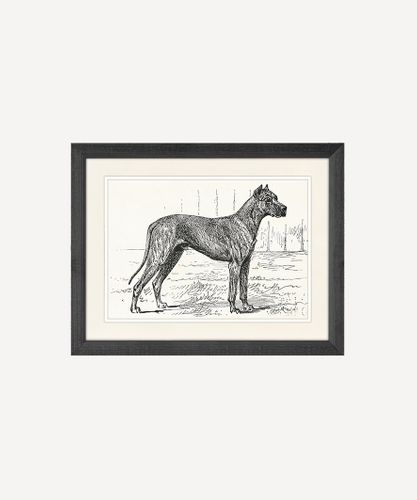 Doberman Dog Wall Art