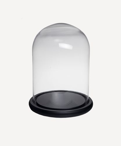 Medium Dome Black Base