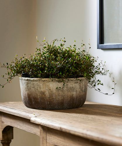 Marron Planter Bowl Large
