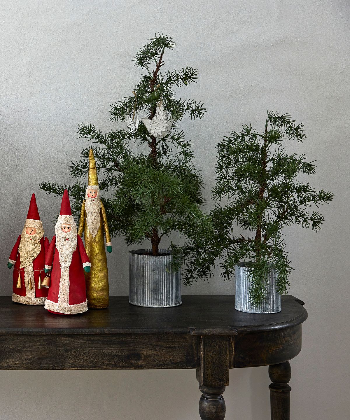 Potted Fraser Fir Tree Small