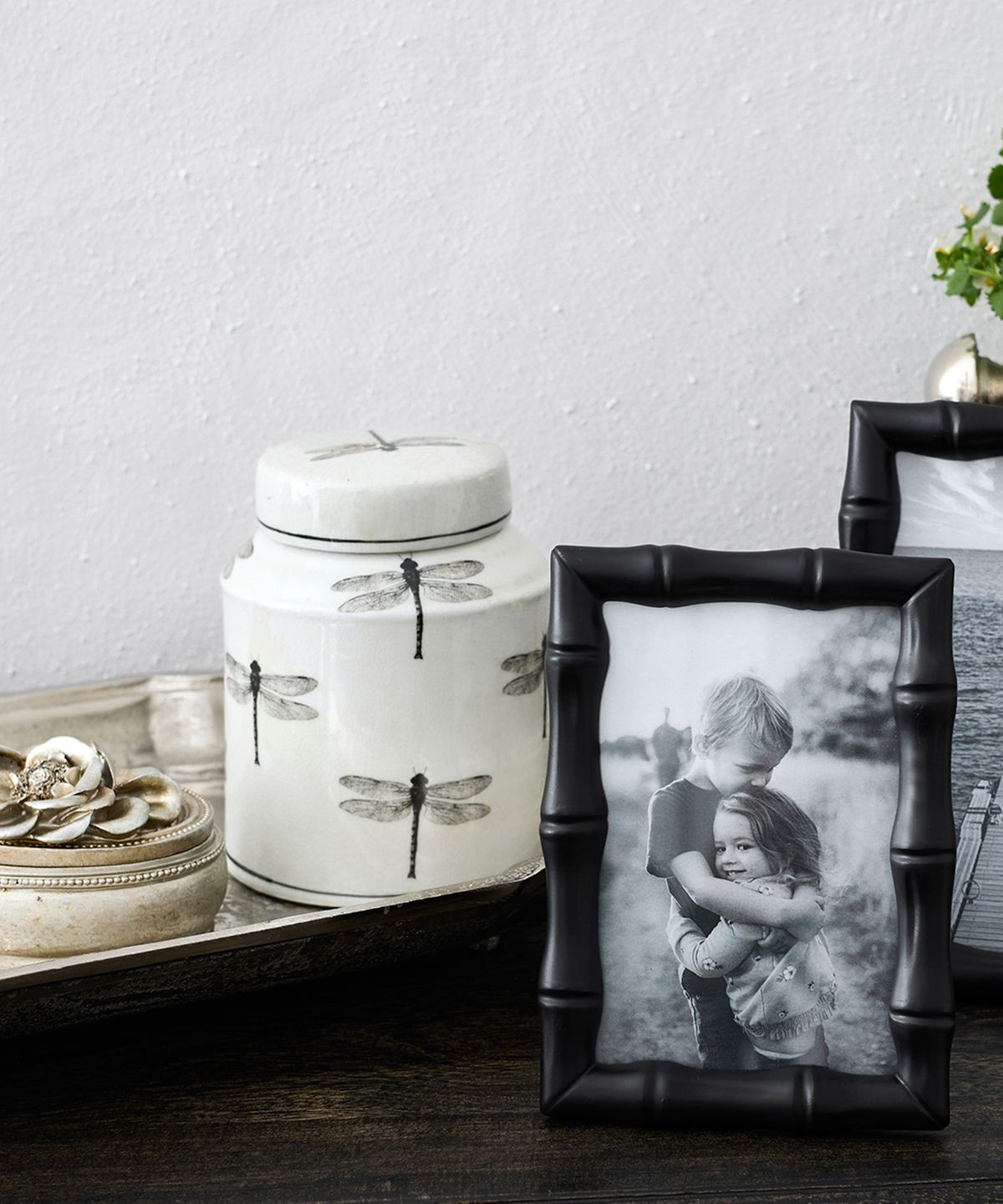 Dragonfly Round Lidded Jar