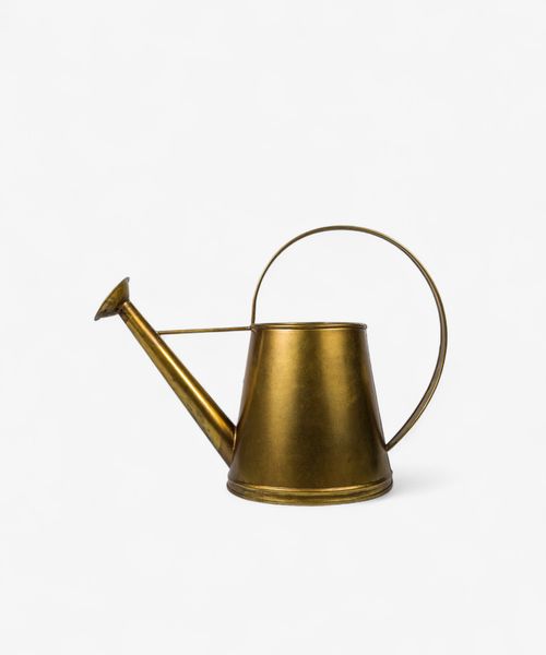 Alloy Gold Watering Can