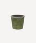 Evergreen Plant Pot Small