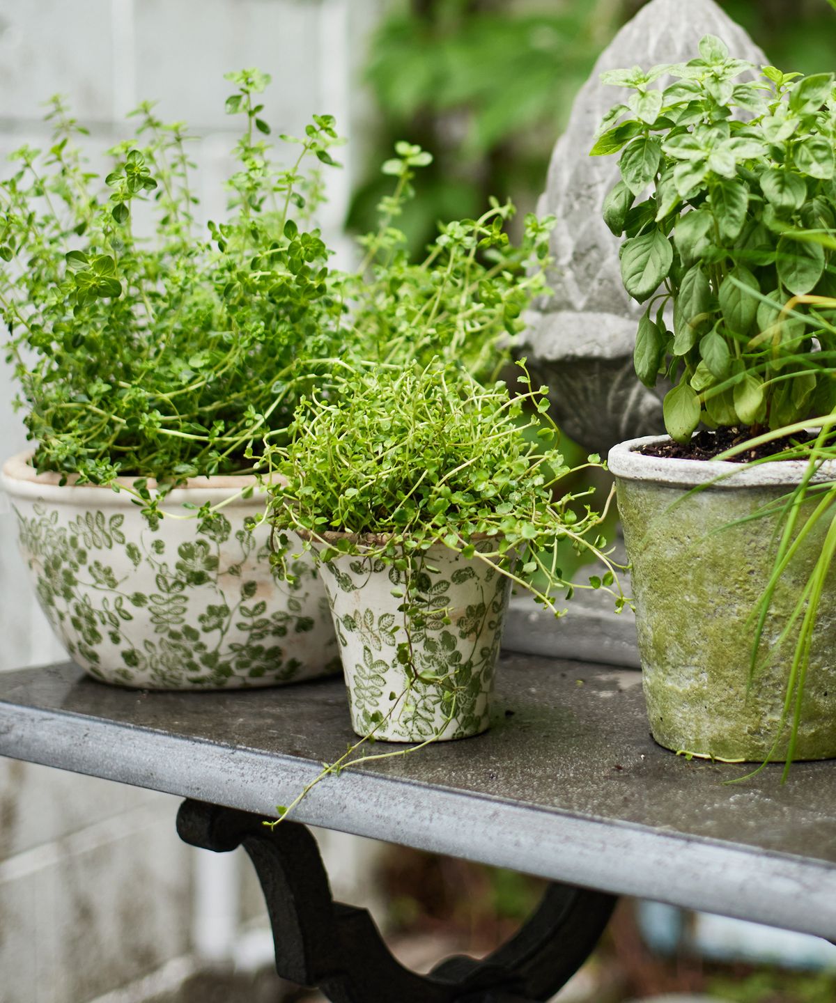 Botanical Fluted Pot Small