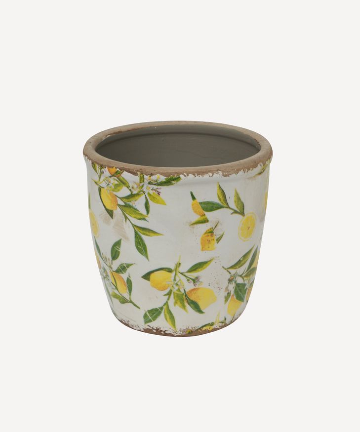 Botanical Lemon Pot Large