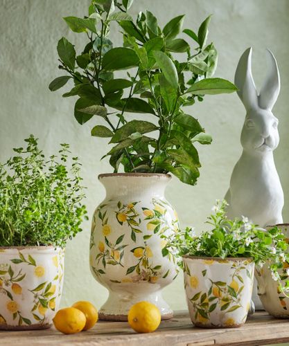 Botanical Lemon Urn