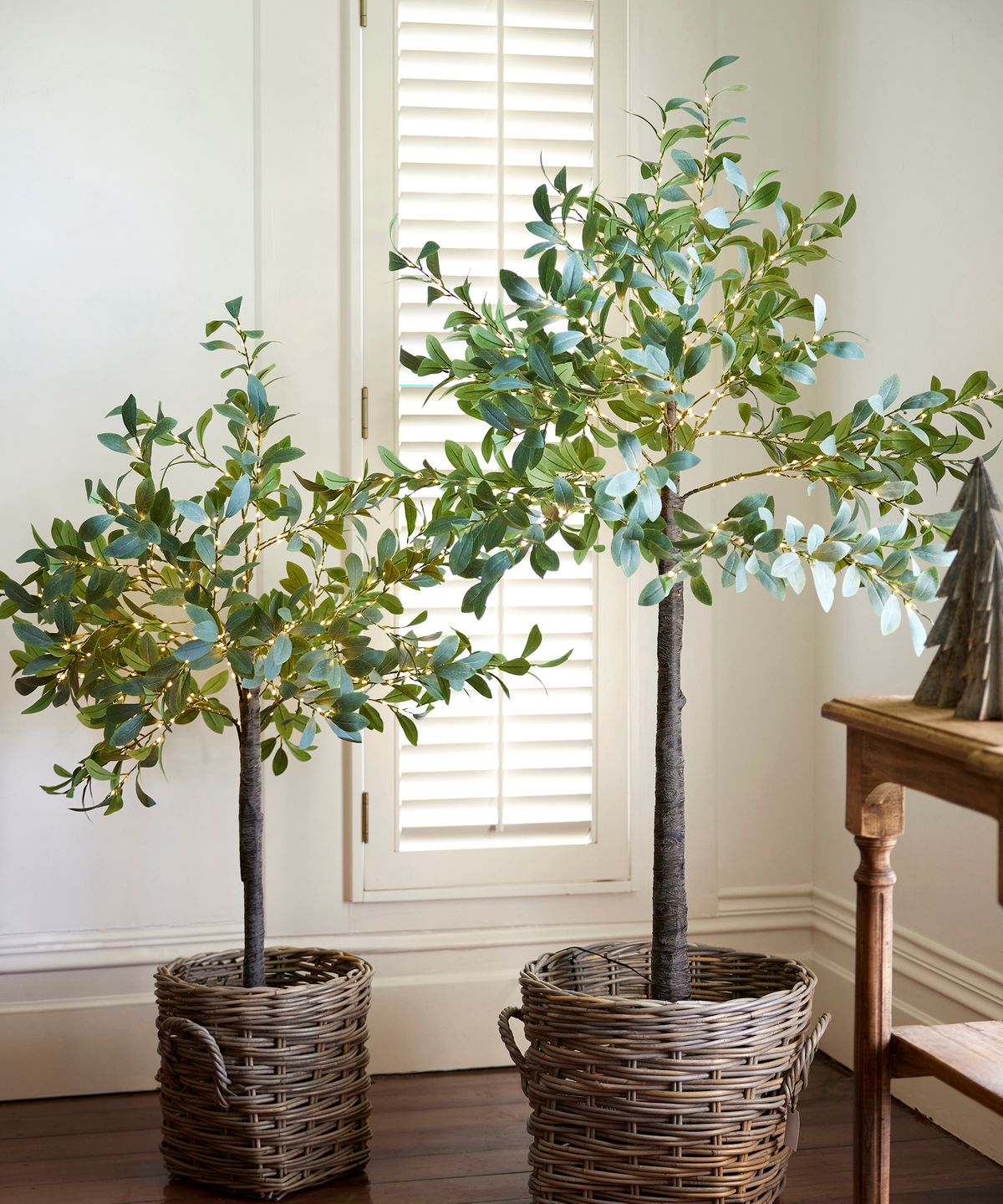 Olive Tree Light Up Dark Leaf Large