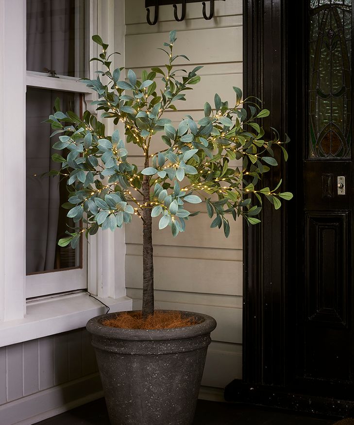 Olive Tree Light Up Dark Leaf Small