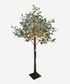 Olive Tree Light Up Dark Leaf Small