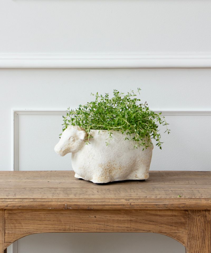 Sheep Flower Pot