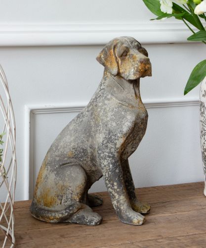 Baron Dog D&eacute;cor