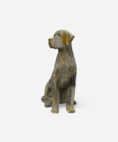 Baron Dog D&eacute;cor