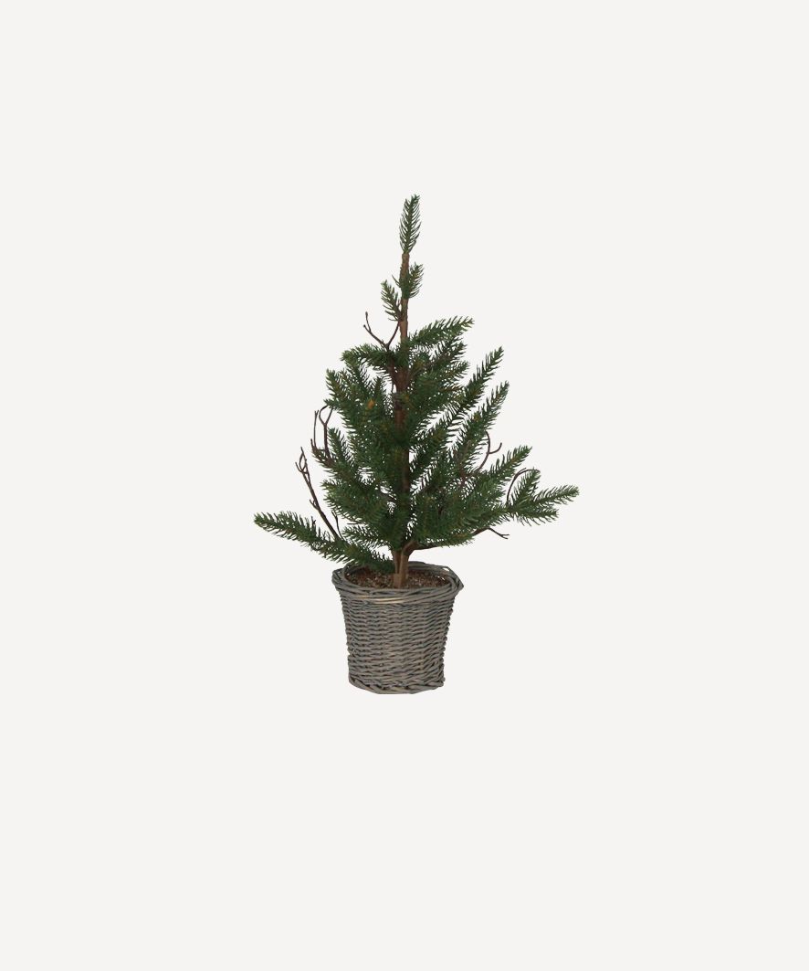 Pine Tree with Rattan Basket Extra Small