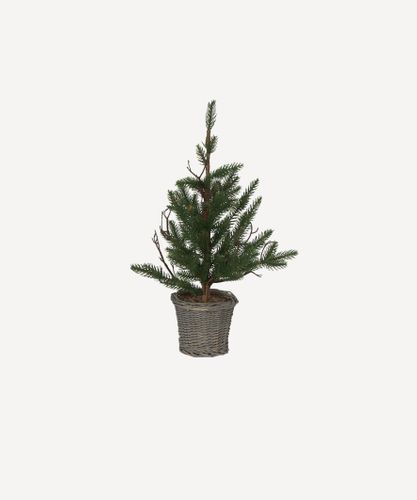 Pine Tree with Rattan Basket Extra Small