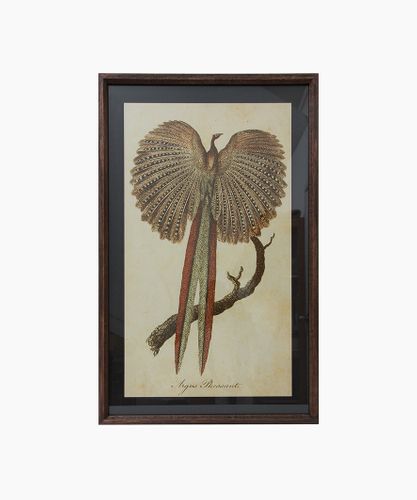 Pheasant Wall Art