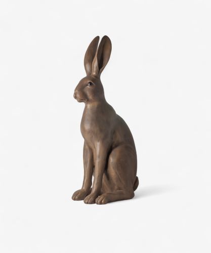 Harold the Hare Brown