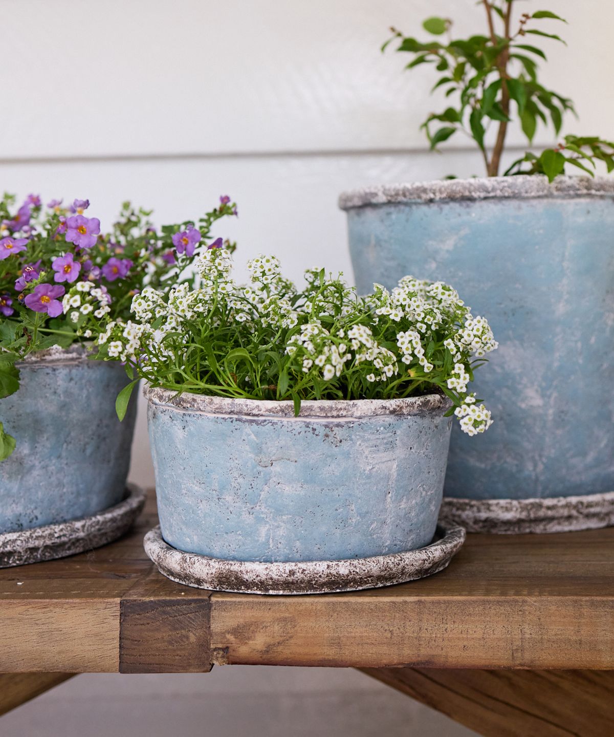 Sea Blue Wide Plant Pot & Saucer Small