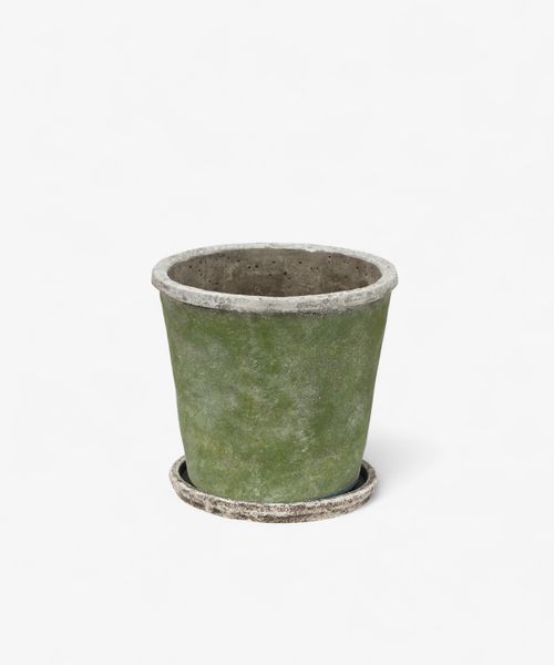 Evergreen Plant Pot & Saucer Large