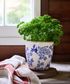 Blue Floral Herb Pot Large