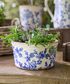 Blue Floral Wide Pot Large