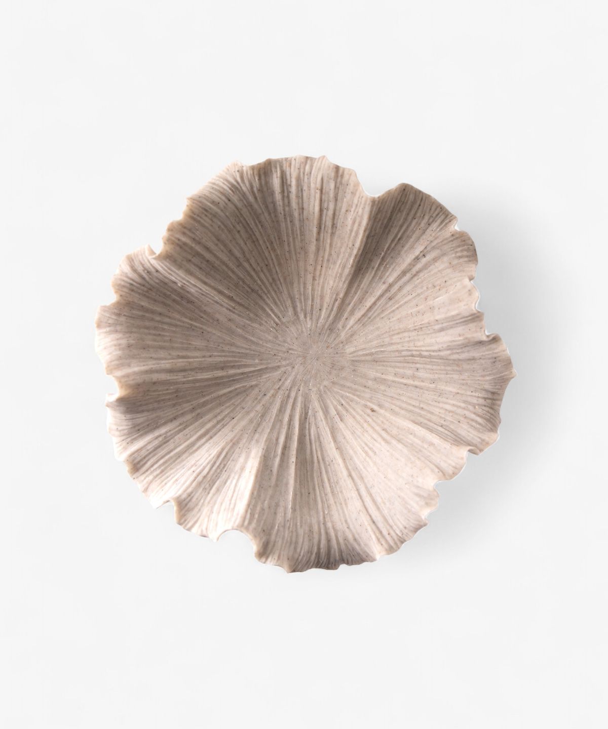 Shell Bowl Ribbed