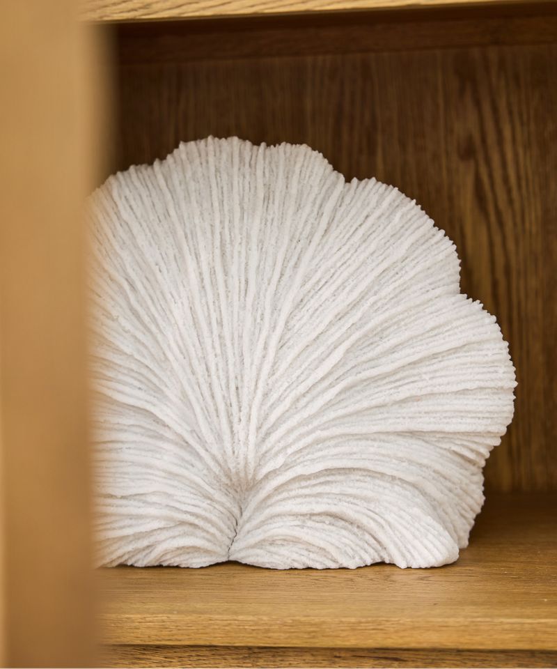 Flat Coral Decorative Light Up