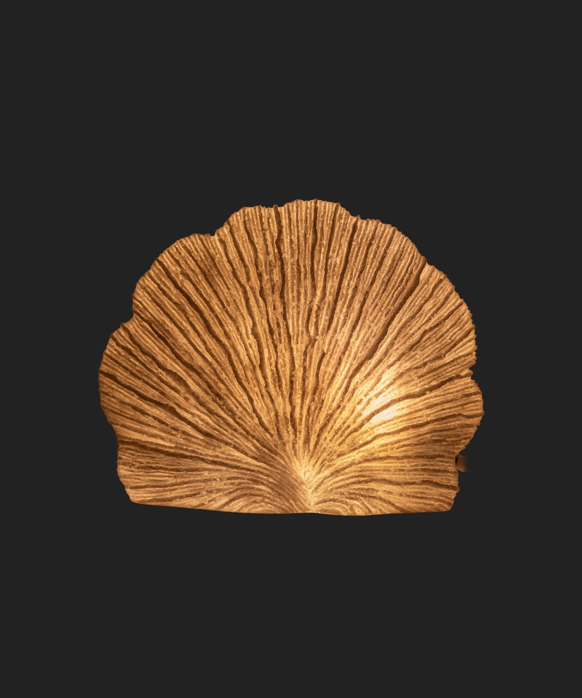 Flat Coral Decorative Light Up