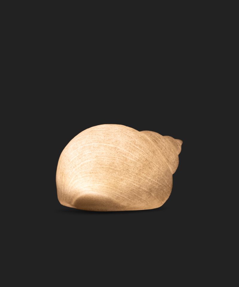 Snail Shell Decorative Light Up