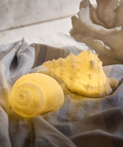 Conch Shell Decorative Light Up