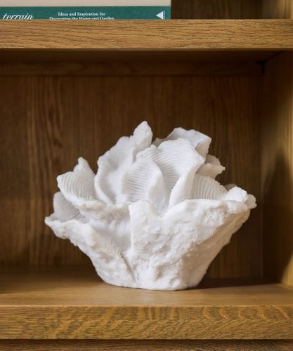 Coral Decorative Light Up