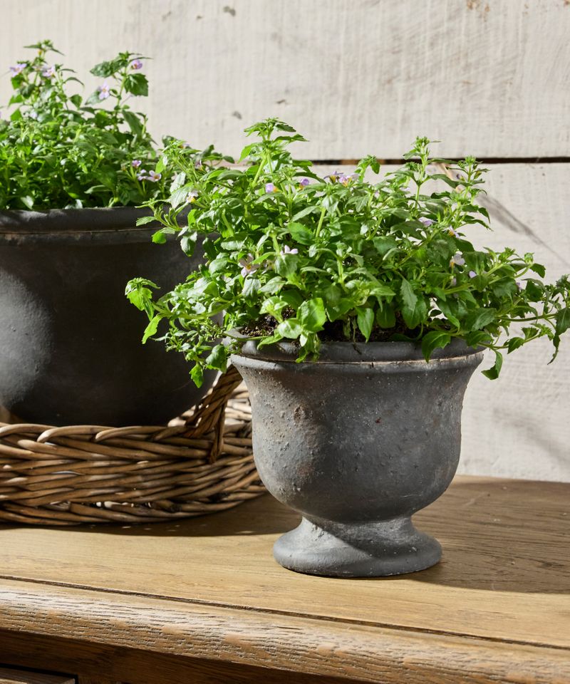 Georgio Planter Small