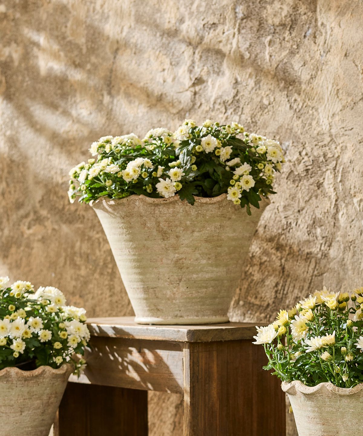 Wavy Planter Pot Large