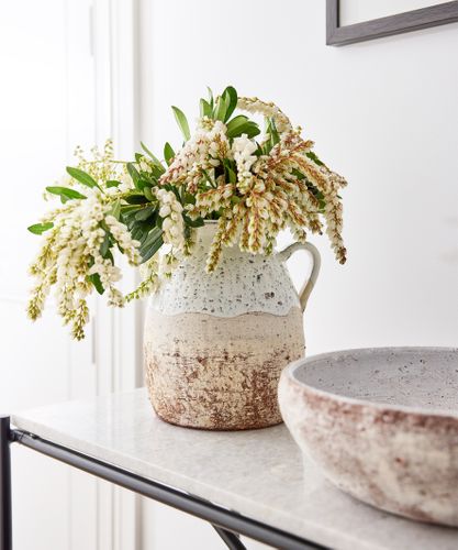 Pebbles Terracotta Jug