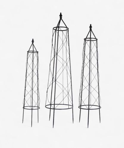 Ivy Plant Trellis (SET3)