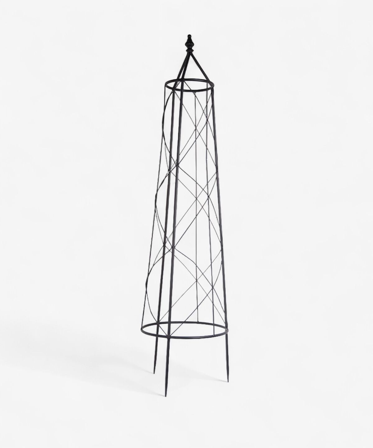 Ivy Plant Trellis Large