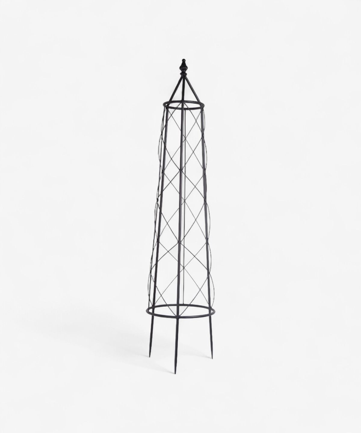 Ivy Plant Trellis Medium