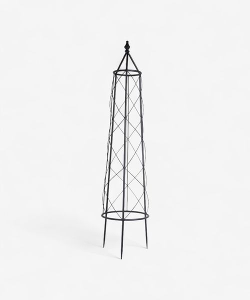 Ivy Plant Trellis Medium