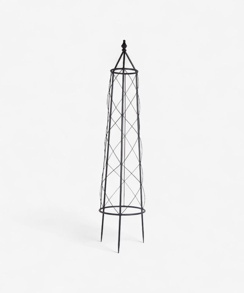 Ivy Plant Trellis Medium